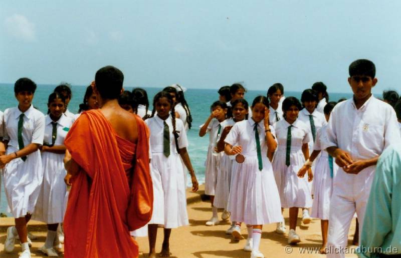 Galle 5 